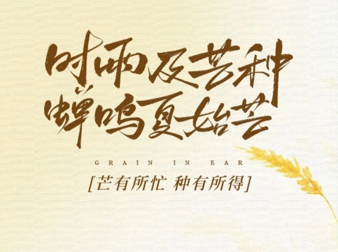 【芒種】芒有所忙，種有所得